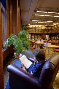 Comfy chairs and plant!