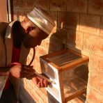 2-Early morning mosquito collection