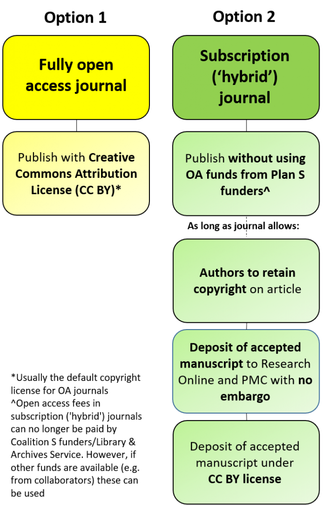 plan s infographic