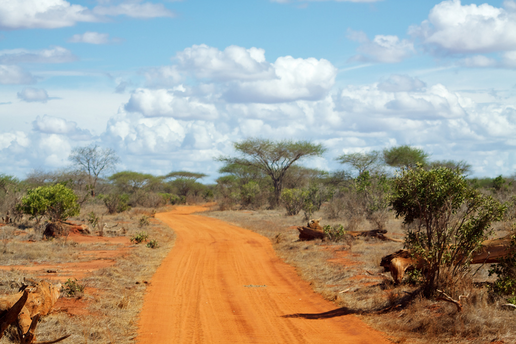 Red roads of Tsavo East #1