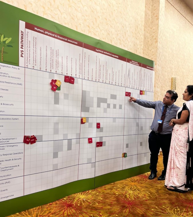 Analysing operational data at the National Bridging Workshop (NBW) in Sri Lanka to evaluate gaps, enhance One Health approaches, and create actionable roadmaps for tackling zoonotic diseases and antimicrobial resistance. These multi-sectoral NBWs are facilitated by the WHO, WOAH, and FAO to improve collaboration between human, animal, and environmental health sectors. 