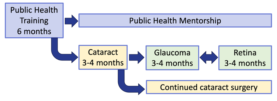 a flowchart of the fellowship process:</p>
<p>'public health training 6 months' leads to 'public health mentorship' or 'cataract 3-4 months', 'glaucoma 3-4 months', 'retina 3-4 months'. Cataract leads to 'continued cataract surgery'