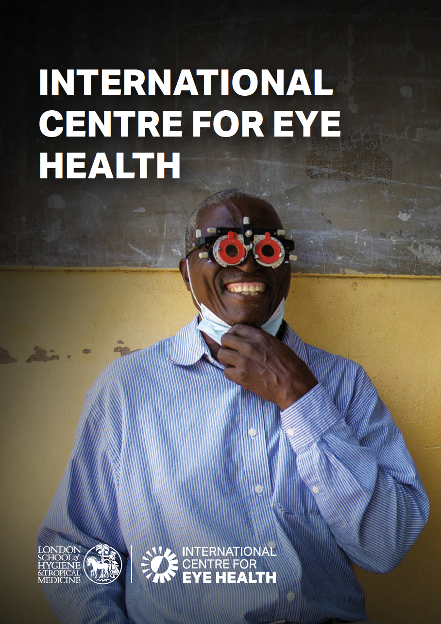 the cover of the ICEH report 