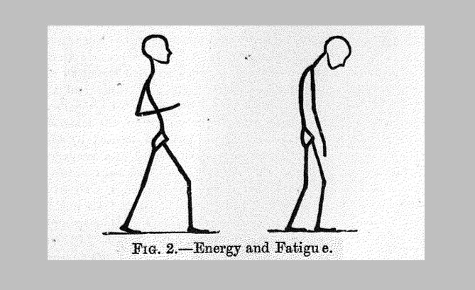 Energy and fatigue