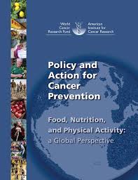 Policy and action for cancer prevention 2009