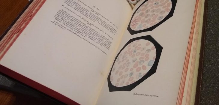 A photograph of pages from 'Two monographs on malaria and the parasites of malarial fevers' including colour plate illustrations of blood samples.