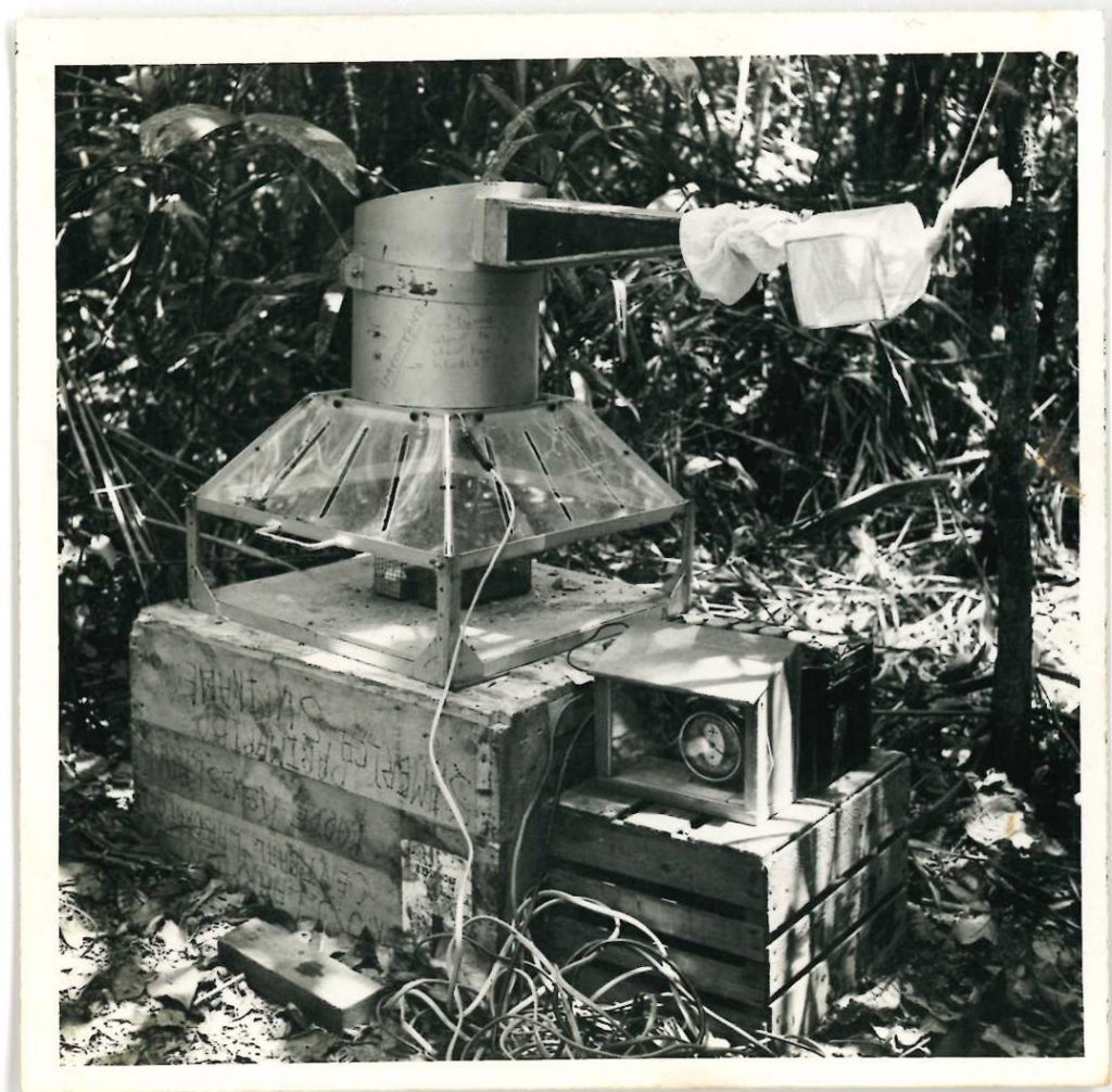 A black & white photo of a homemade contraption placed in a 'jungle clearing' to catch flies