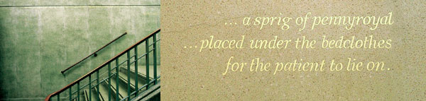 Stairs and gold leaf text