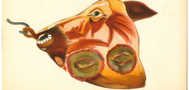 An image of a cows head