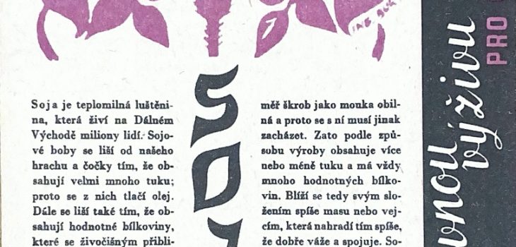 Recipe leaflet on soya beans