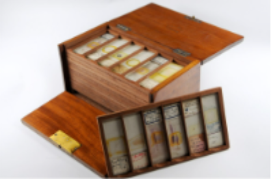 Image of wooden box with trays of glass microscope slides, the slides have samples which appear red and yellow in colour