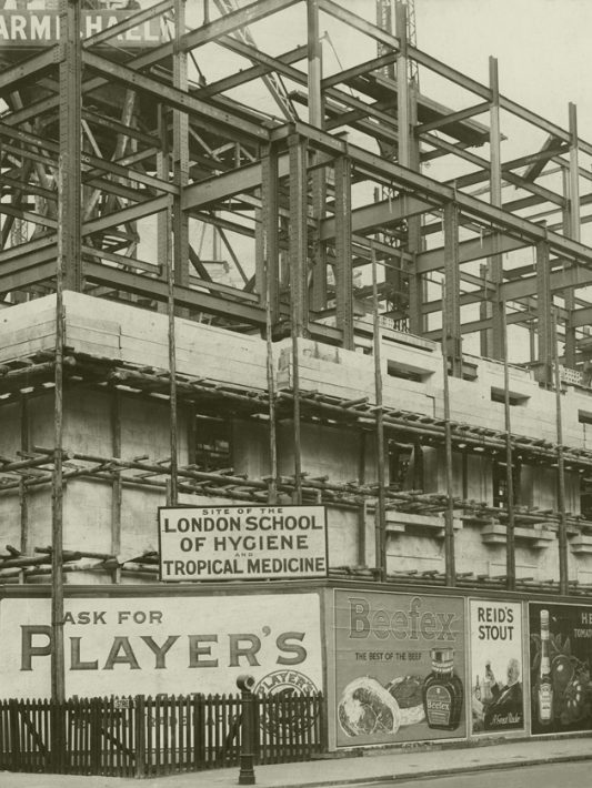 Scaffolding around a building with sign reading 'London School of Hygiene and Tropical Medicine' 