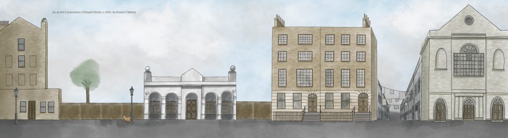 Watercolour style painting showing a line of buildings. Between the buildings there is a small tree and brown fence, a washing line, an orange cat and a lamp-post. 